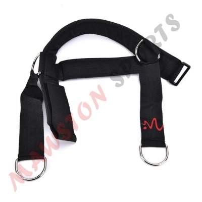 Head harness